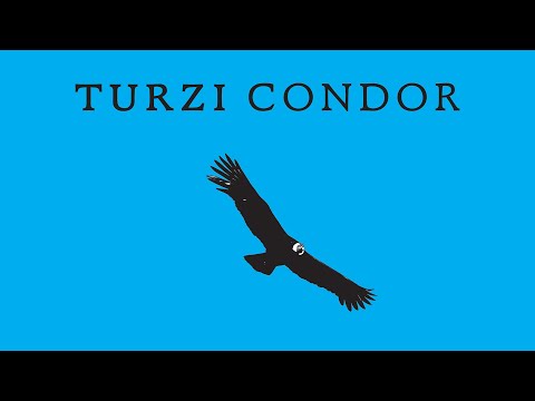 Turzi - Condor (Official Audio)