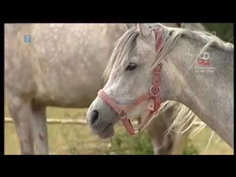 Lato z TVP3 Lublin 1 sierpnia 2020B, g  12 50