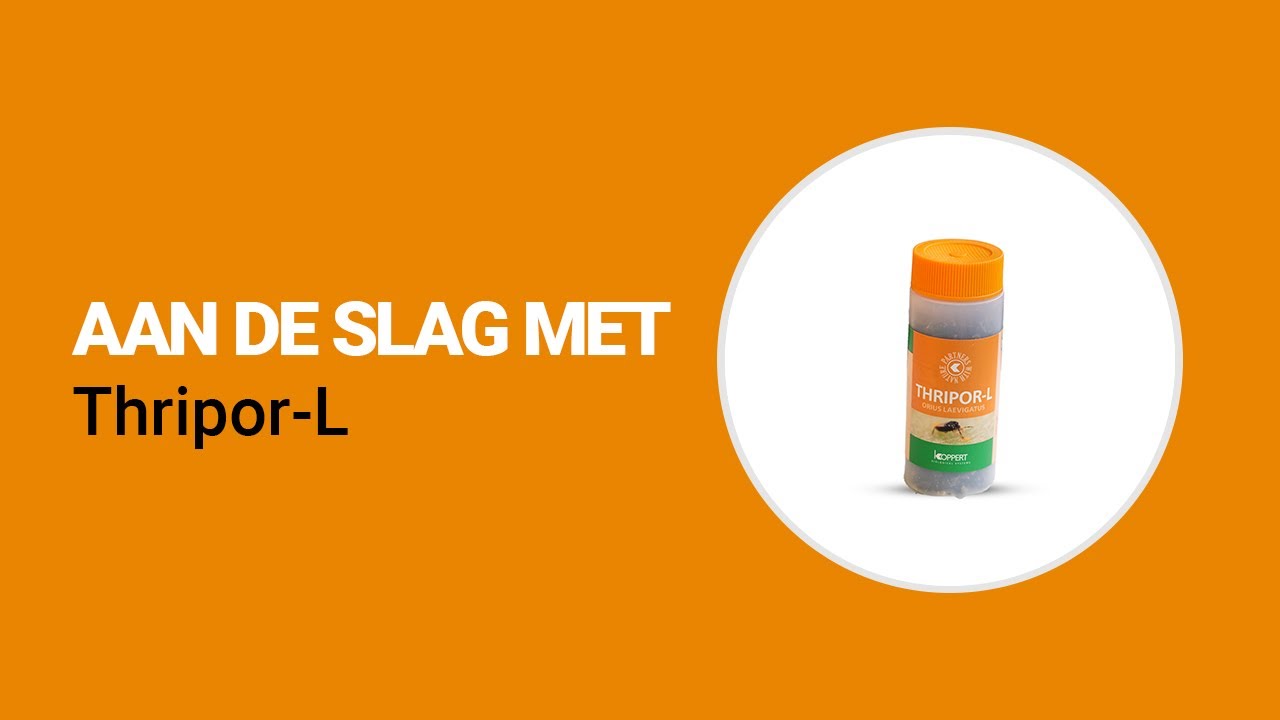 Video preview poster