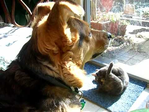 Rakiya - Video 003 - January 2006