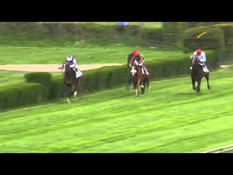 Düsseldorf: Henkel Preis der Dreijährigen (Listenrennen) - Sieger: Quixote