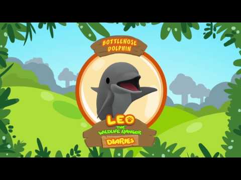 Witness21 Editor  2018 09 26