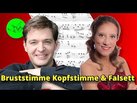 Transition chest voice - head voice - falsetto