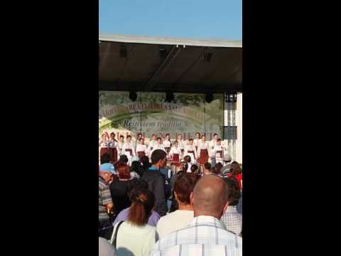 Dans cu ansamblul Cununita satului Liesti