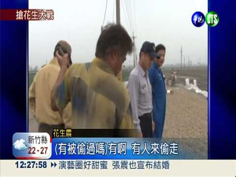 黑心油風波 花生價格水漲船高!