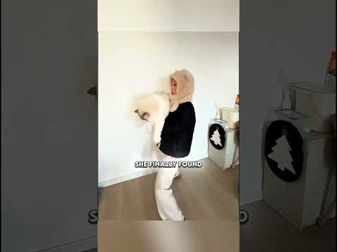 Pisica Vinovată a Fost Prinsă, Dar Era Prea Adorabilă! #shorts #reels