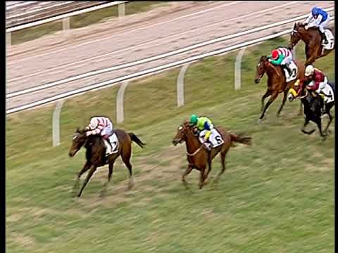 Galoppo 20/01/2020 - 3ª corsa