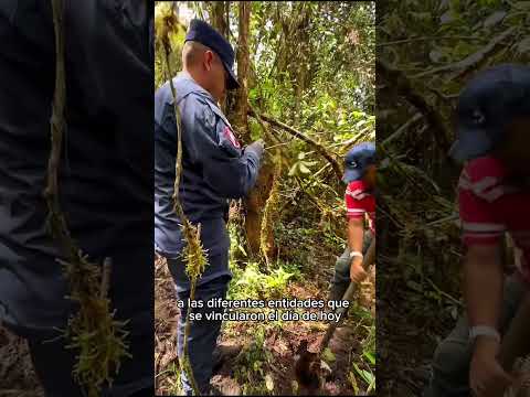 🌳Continuamos cuidando las zonas forestales protectoras de nuestro recurso hídrico