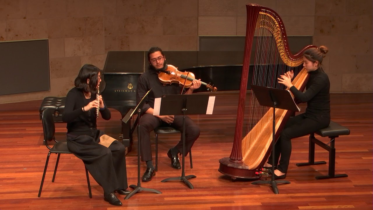 Promotional video thumbnail 3 for Alto Ambiance
