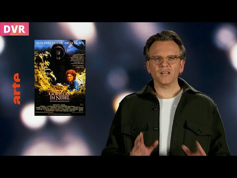 Gorillas im Nebel - Arte Cinema - 2024