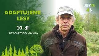 Adaptujeme lesy – 10. díl