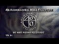 40 Acres And A Mule Filmworks 2000