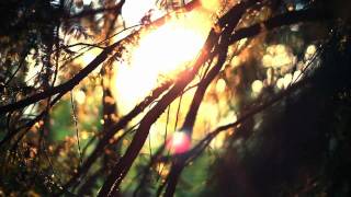 Burial - Dog Shelter [HD]