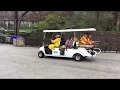 The Great Flamingo Move 2018