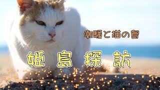 たくさんの猫に会える「姫島」　探訪　　　4K