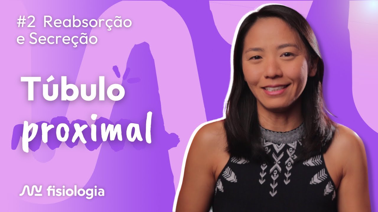 [#2] REABSORÇÃO E SECREÇÃO TUBULAR: TÚBULO PROXIMAL | MK Fisiologia