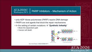 M1 CRPC: PARP Inhibitors and Precision Medicine (2026)