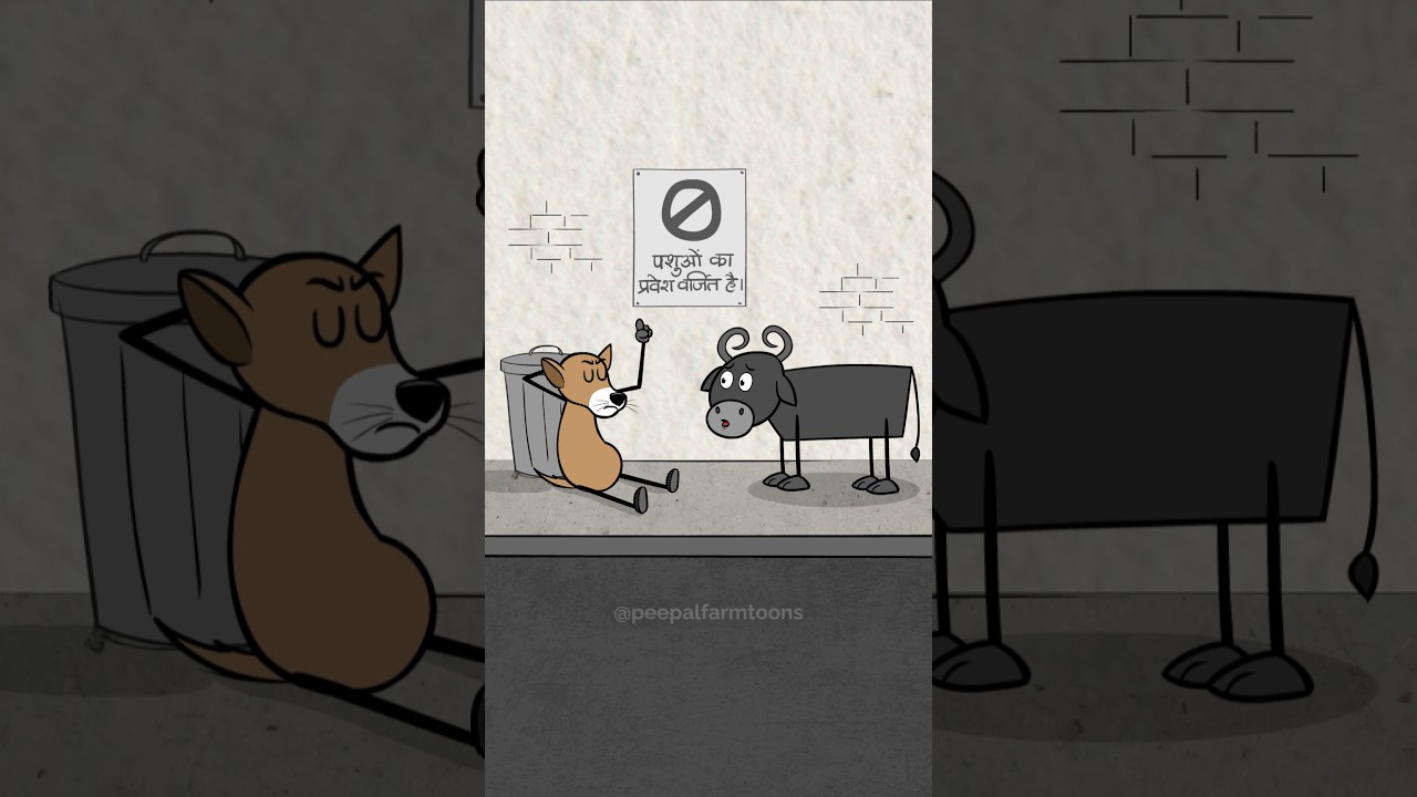 Stray dogs hain, par stray bhains kyun nahi? #animation