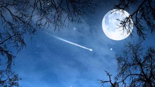 Propaganda - Vicious (Reprise)