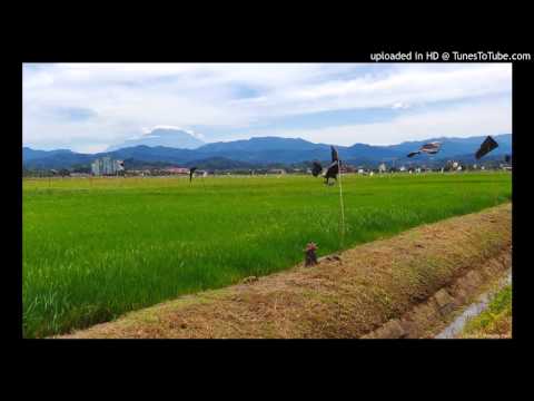 Pat Michael - karamayan