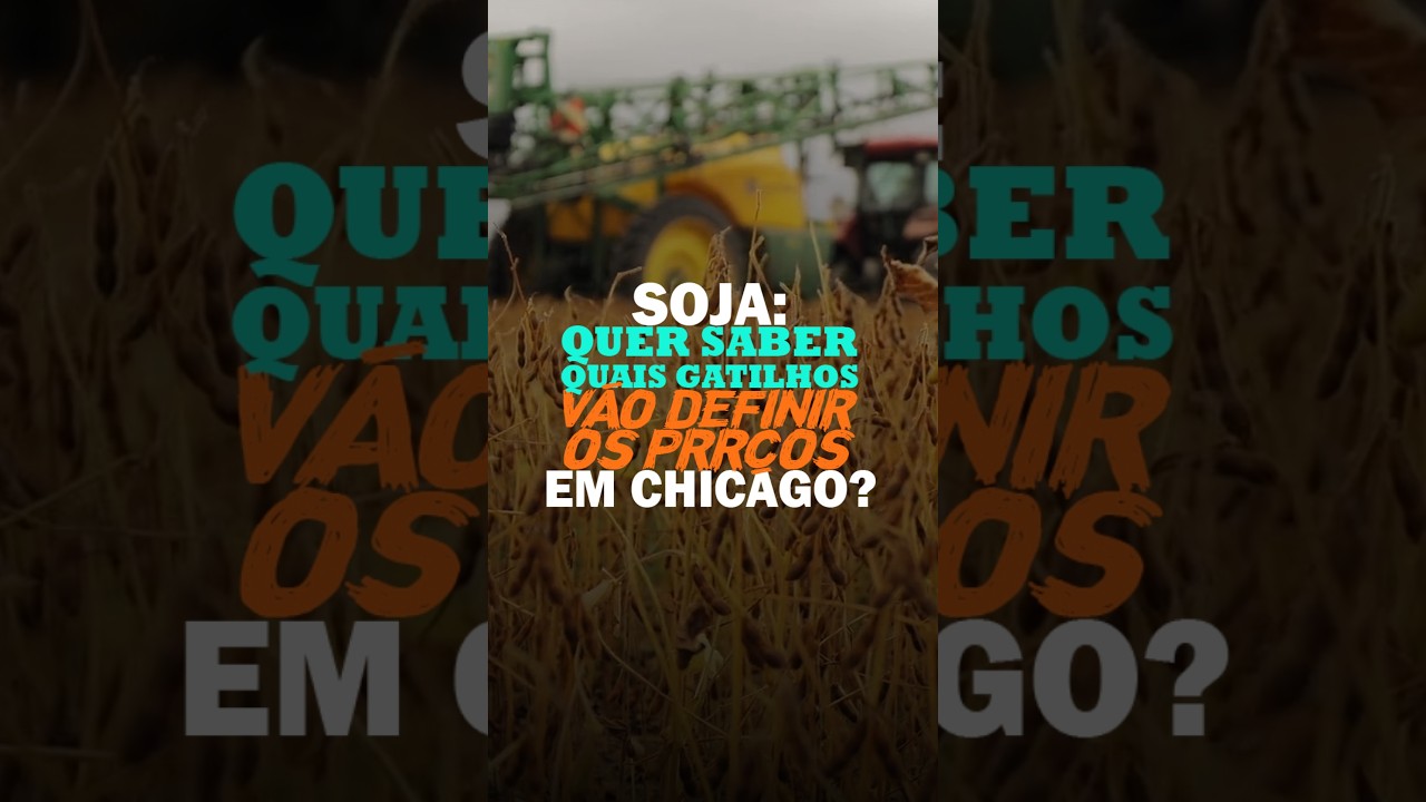 SOJA: QUER SABER QUAIS GATILHOS VÃO DEFINIR OS PREÇOS EM CHICAGO?