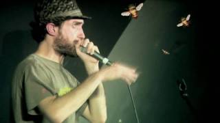 Beardyman - Aphex Twin Attacked by Bumble Bees