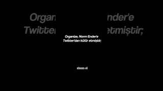 Organize Vs Norm Ender
