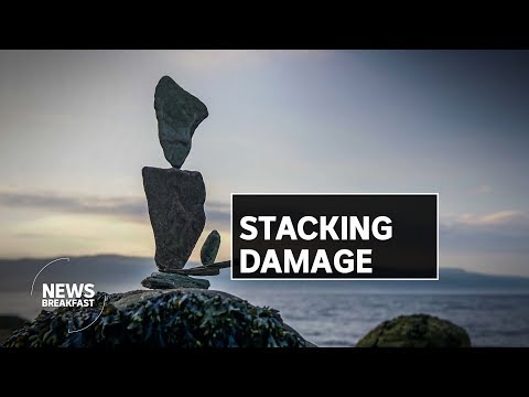 They look pretty, but this social media fad could be destroying endangered animals | News Breakfast