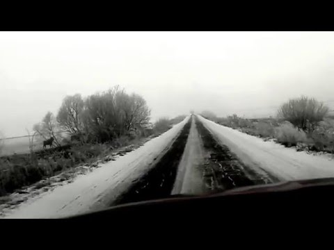 Łosie podejrzane o poranku - Agroturystyka Żabi Raj