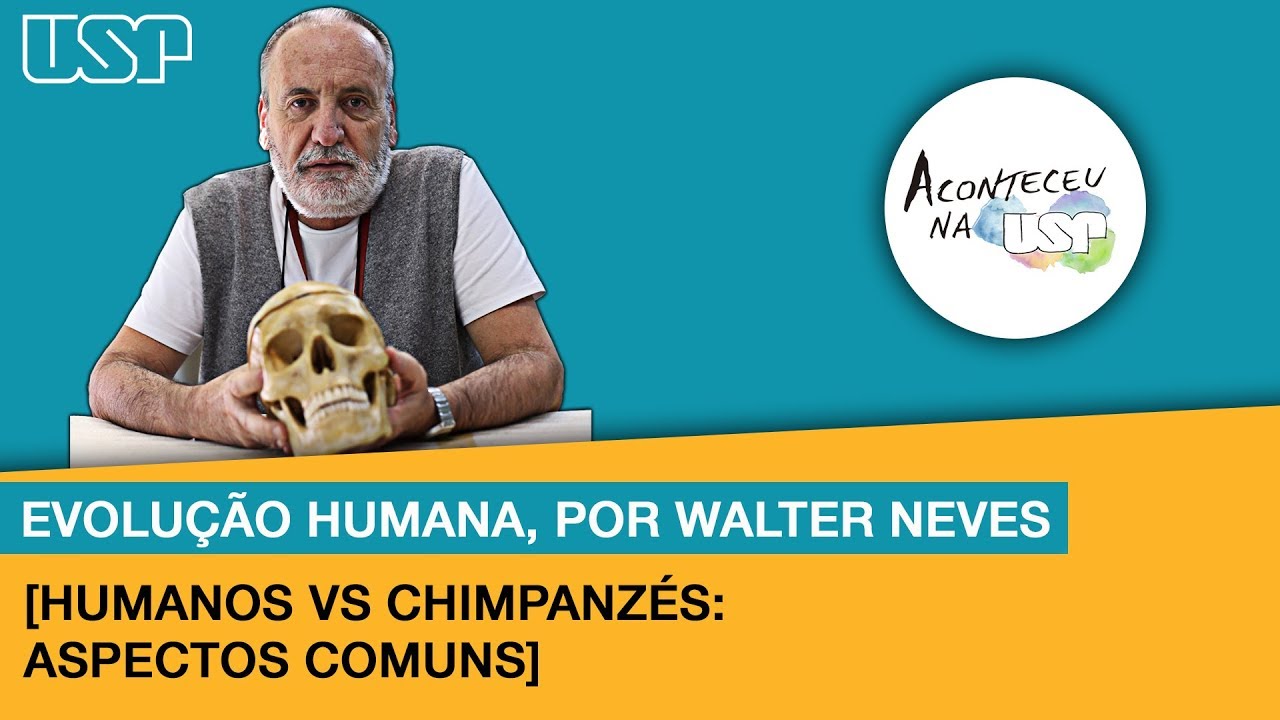 [Evolução Humana] #1 Humanos vs Chimpanzés: aspectos comuns