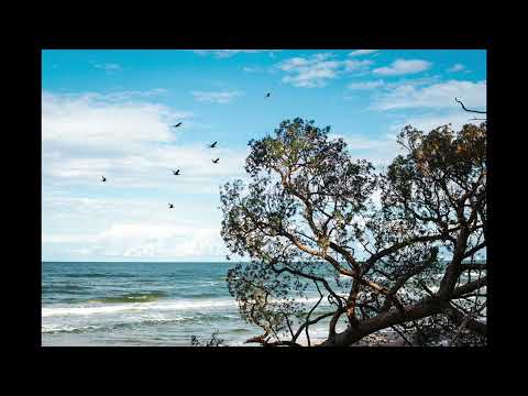 Kigidi Karma ir Akvilė Gataveckaitė - DŽIAUGIASI ŠIRDIS