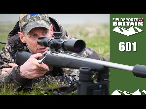 Fieldsports Britain - the wonderful .22-250 calibre