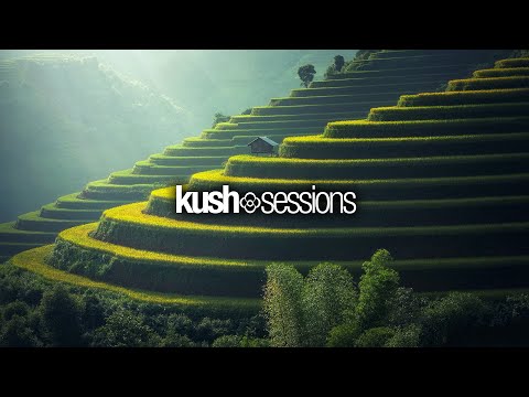#233 KushSessions (Liquid Drum & Bass Mix)