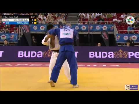 Judo 2014 Grand Prix Budapest: Nishiyama (JPN) - Randl (SVK) [-90kg] semi-final