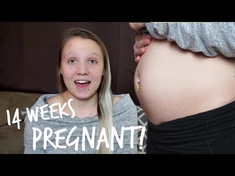 Week 14 Pregnancy Update│OFFICIALLY IN THE SECOND TRIMESTER! Video