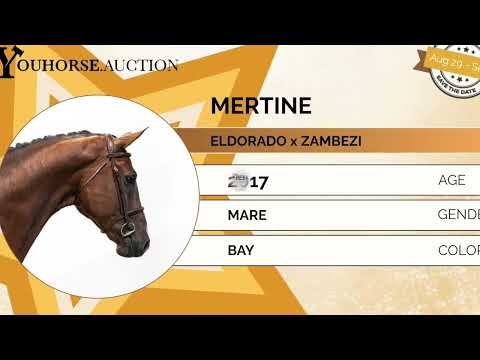 Mertine video 2