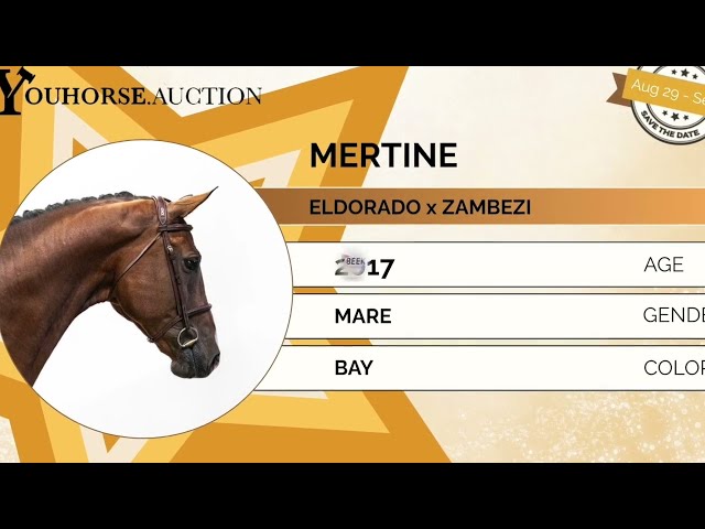 Mertine showvideo
