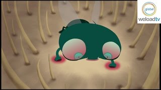 One Minute Fly [HD] (Zeichentrickfilm / Trickfilm / Short Film / Kurzfilm)