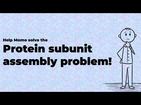 Help Momo solve the Protein subunit assembly problem!