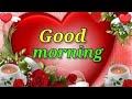 Good Morning Status Good Morning Shayari Good Morning Video Good Morning