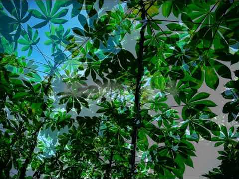 #Blue Sky # DumindaUGN