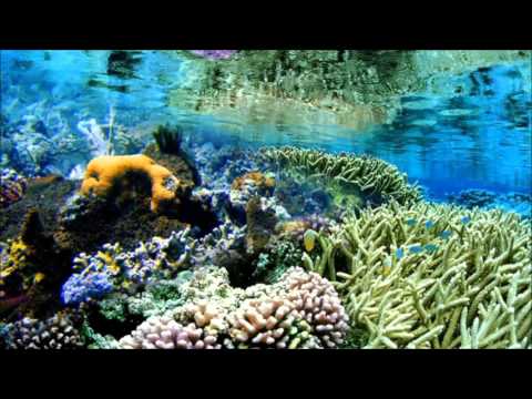 Beautiful Beaches In Sri lanka