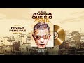 MC Hariel - Favela Pede Paz (Lyric Vídeo) Feat MC Neguinho do Kaxeta e Lele JP