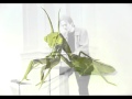 Jim Carroll - Sampling Nietzsche & Fragment: Little N.Y. Ode - Praying Mantis (1991)