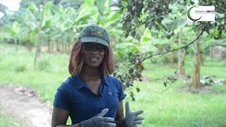 L'utilisation raisonnée des produits phytosanitaires