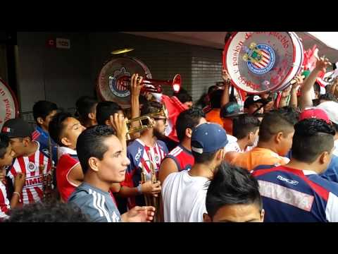 "La Irreverente vs el América 2015" Barra: Legión 1908 • Club: Chivas Guadalajara • País: México