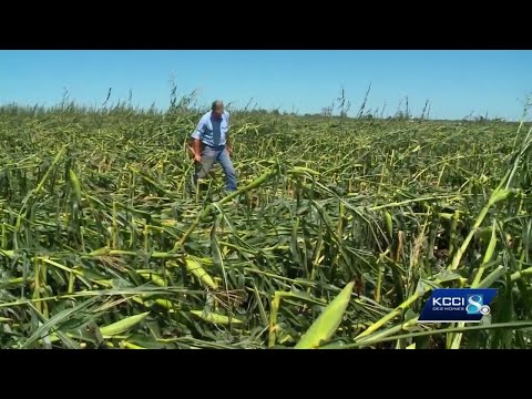 Editorial: The storms of 2020 continue to show the goodness of Iowans