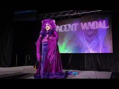 Promotional video thumbnail 1 for Vincent Vandal