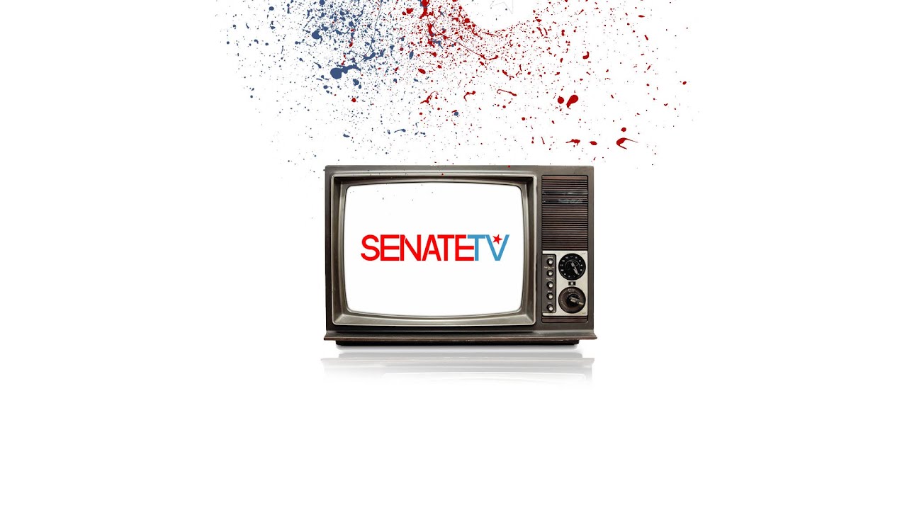 Day Dreams | Senate Spot 2014 | Starring DJ Five Venoms of The Senate DJs 🎧✨