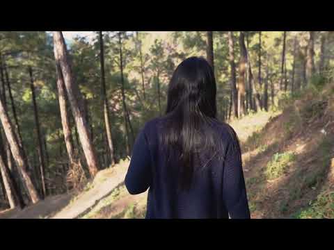 Nature B Roll   Cinematic Short Film   4K Forest!!! 720p2850